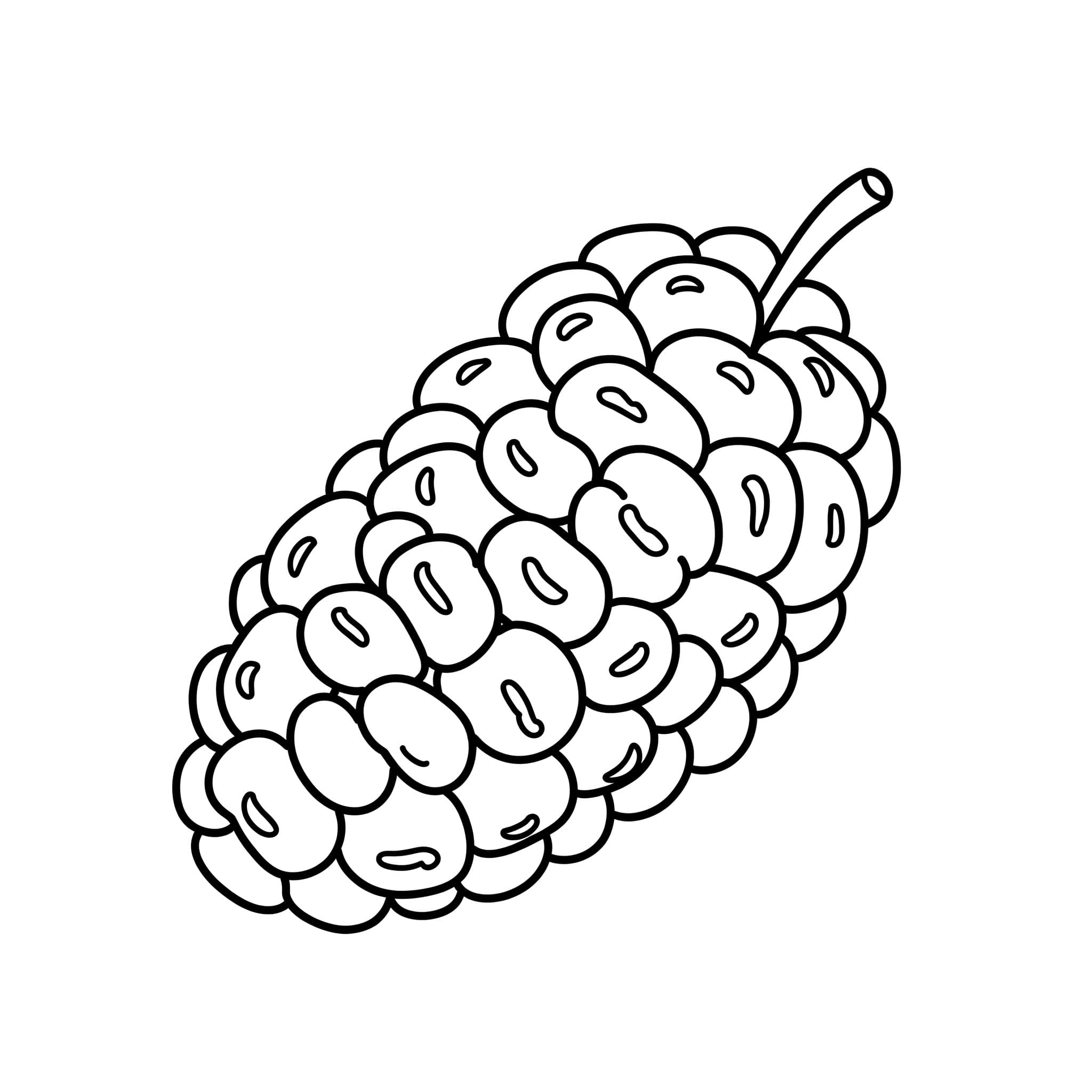Favorite Fruits - Sweet & Colorful Free Coloring Pages for Everyone! - free coloring page image 2 of 8