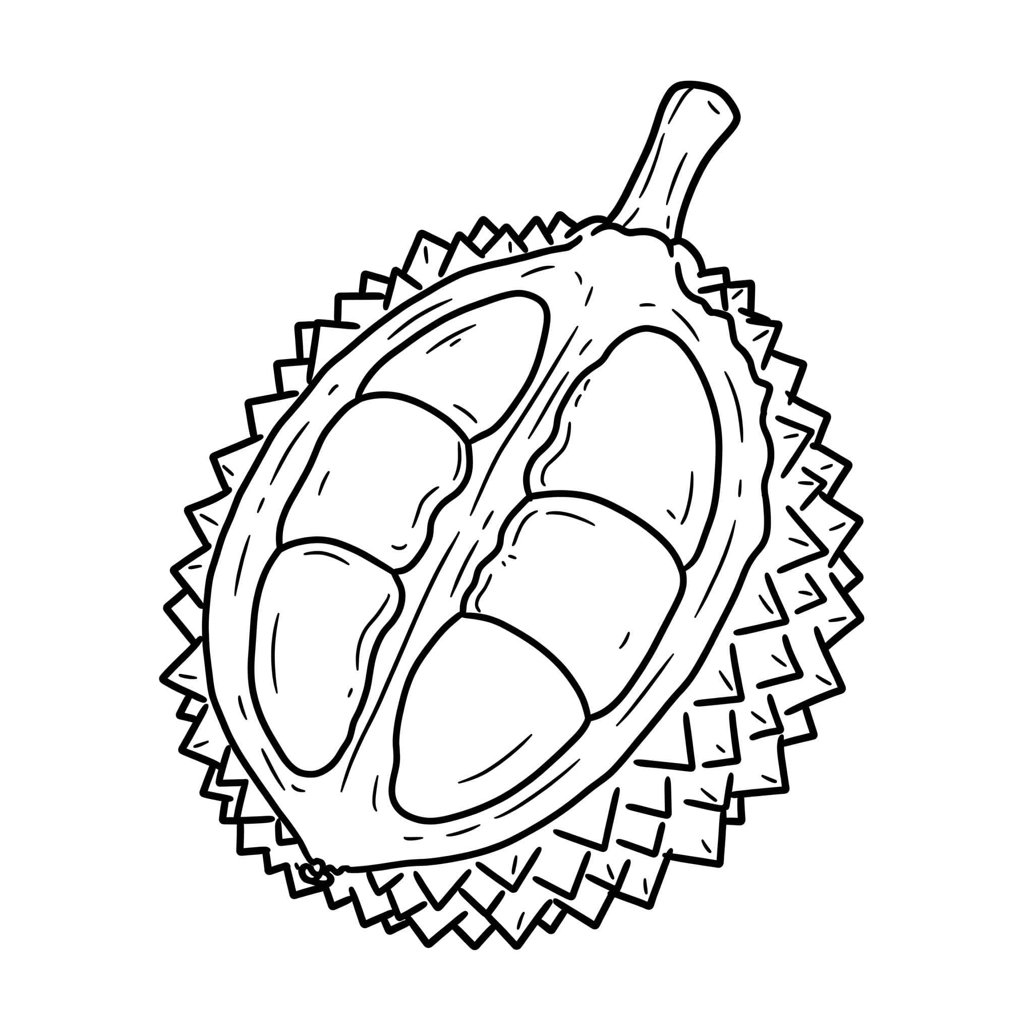 Favorite Fruits - Sweet & Colorful Free Coloring Pages for Everyone! - free coloring page image 8 of 8