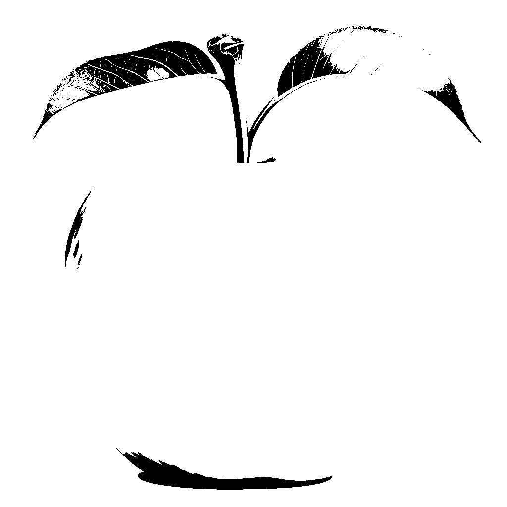 Apple Fruit Coloring Page - free printable coloring page for kids to download